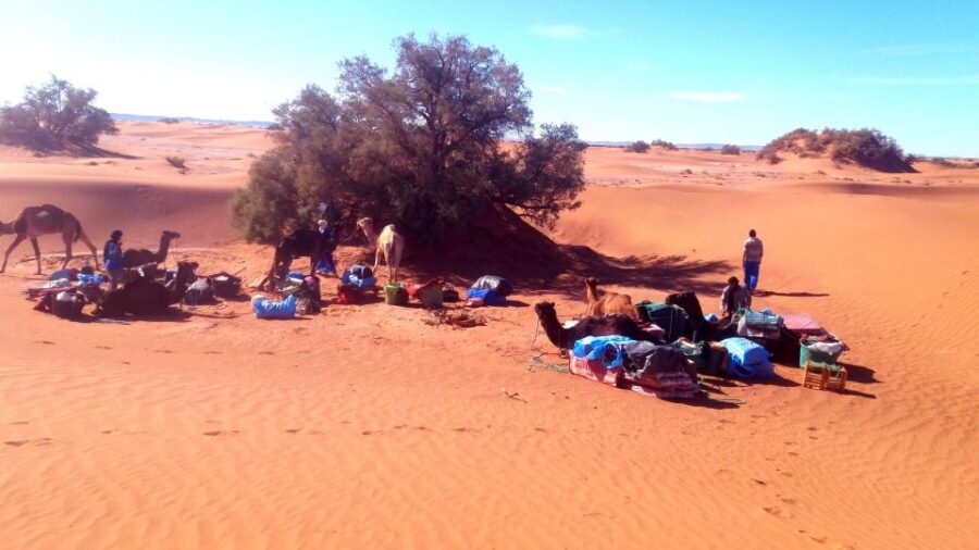 Experience Another Way of Living MHamid : Nomads Life Style