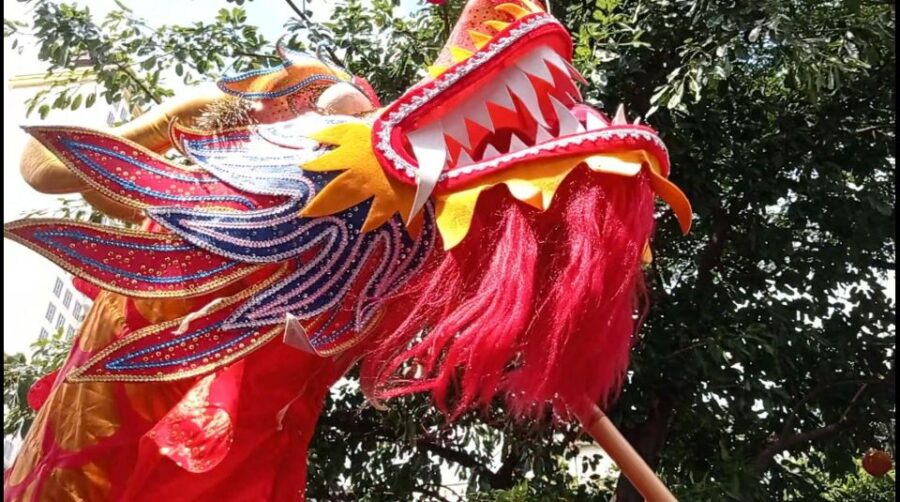 Experience Chinatown + 2 MOON CAKES FOR YOU + Cozy Lunch - Tour Overview
