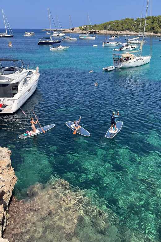 Experience Crystal Paddle Sup Tours + Snorkel - Tour Experience