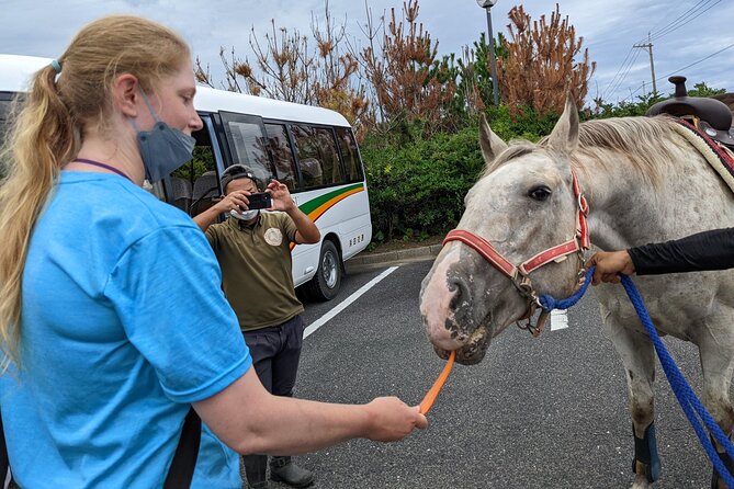 Experience Horseback Riding With Samurai Costume in Japan