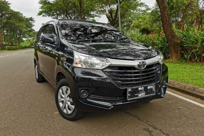 Experience The Real Bali, With Your Own Bali Private Car And Driver - Included Amenities and Services