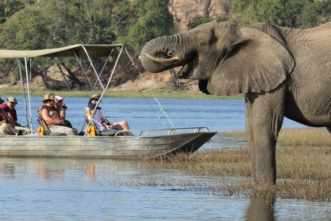 Explore Chobe National Park With a Day Trip From Victoria Falls - Details of the Tour