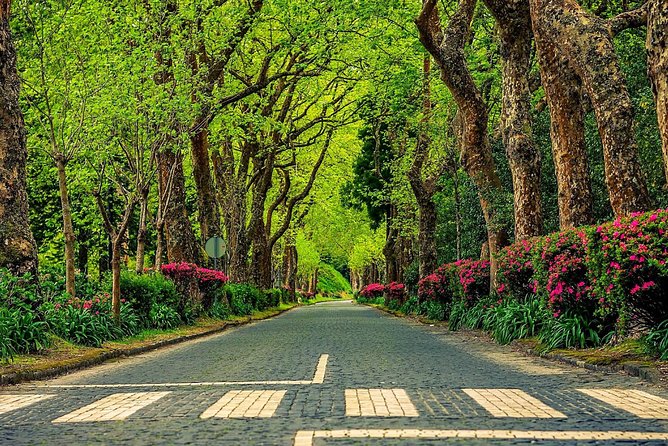 Explore Furnas by Van - Full Day Tour With Lunch and Thermal Baths - Tour Overview