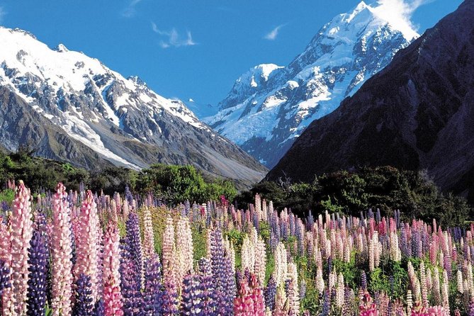 Explore Mount Cook From Christchurch