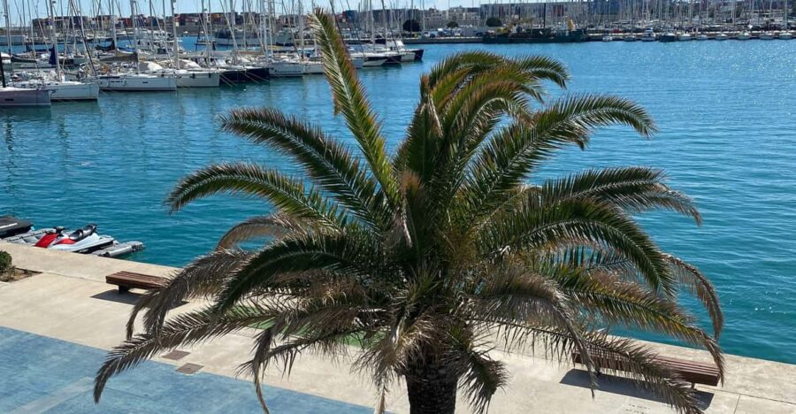 Explore Valencia's Coastal Gems: Private Sailing Tour