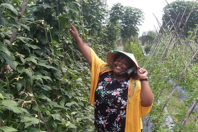 Exploring Organic Farm & Vietnamese Culinary With Master Chef - Experience Overview