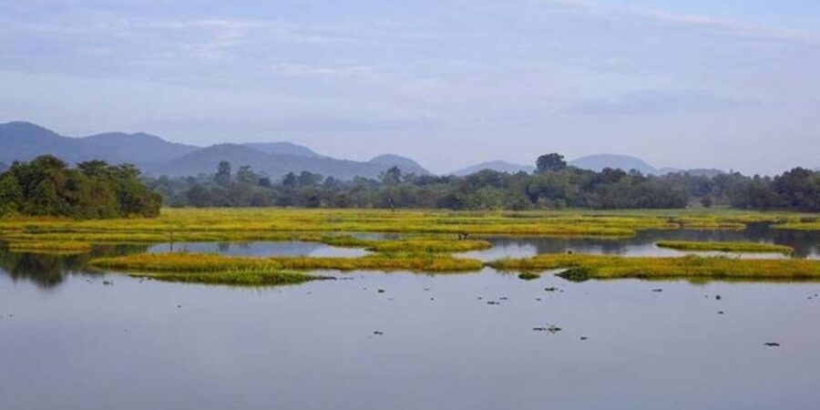 Exploring Seetha Ammans Captive Life: A 6-Day Tour - Tour Overview