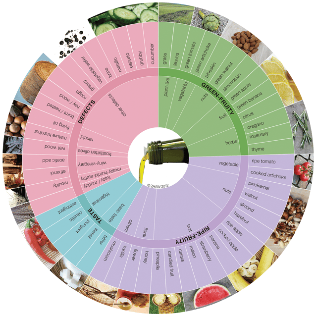 Extra Virgin Olive Oil Experience With Wine & Herbs - Experience Overview