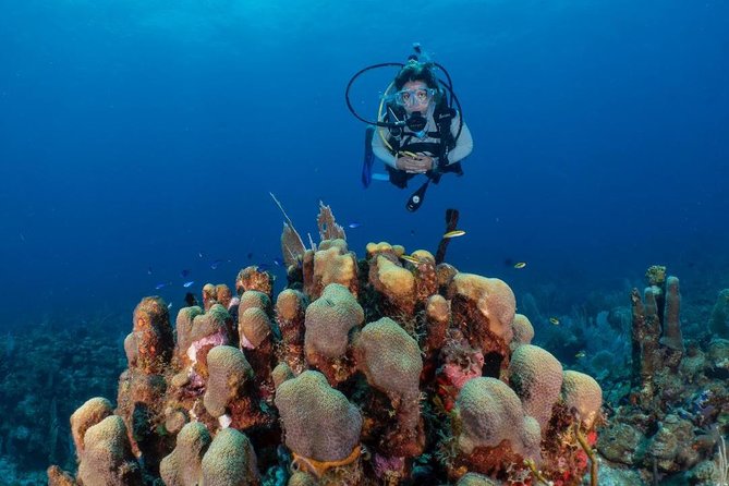 Fajardo 2-Tank Scuba Dive for Certified Divers Only