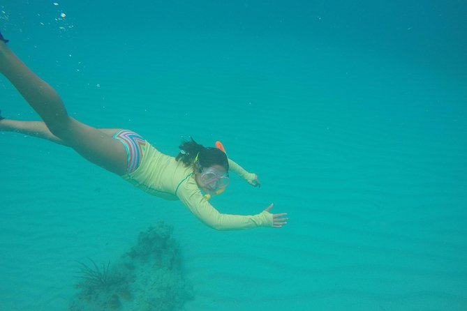 Fajardo Afternoon Snorkeling Adventure Tour - Meeting Point and Logistics