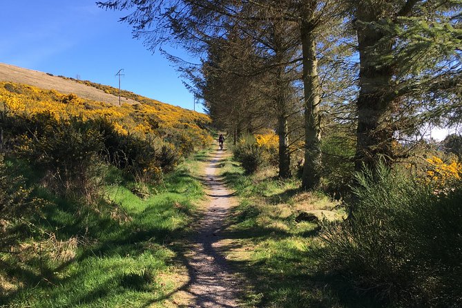 Family Bike Rides – Bike Hire & Guide for Off-road Cycling