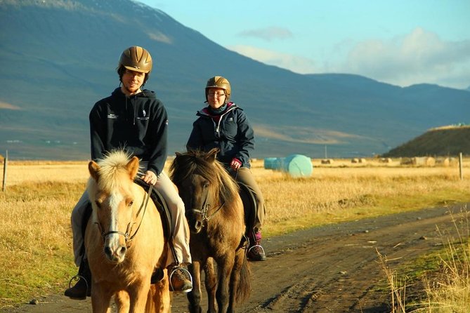 Family Friendly Horse Riding Tour in Skagafjörður