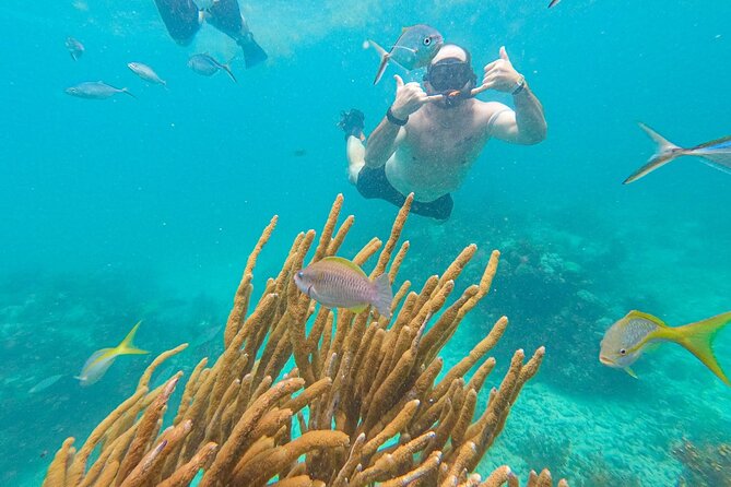 Family Friendly Snorkel Cruise and Seafood Lunch in Punta Cana