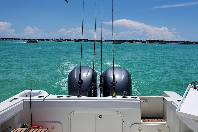 Family Fun Combo: Dolphins, Fishing & Swimming (Flowing Water Charters) - Private Charter Details