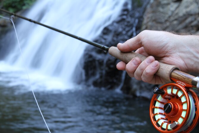 4 Best Fishing Tours In Yosemite National Park
