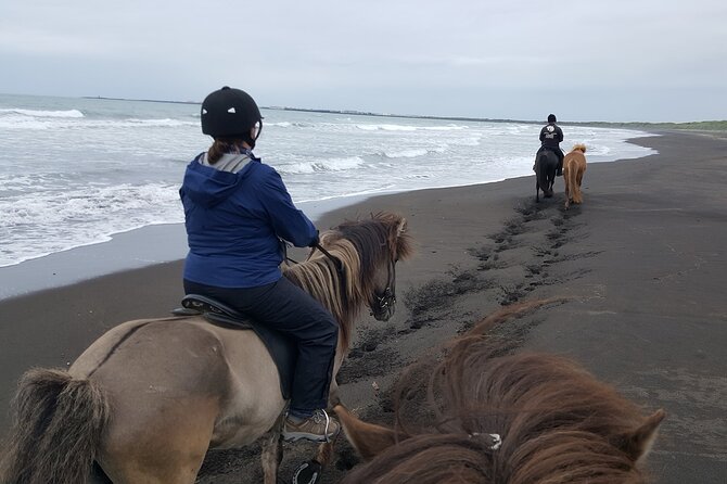 Family Horse Riding Tour in Thorlakshofn - Tour Overview