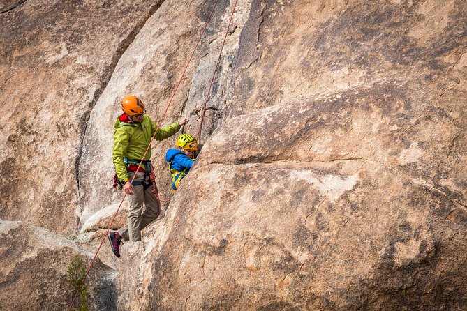 Family Rock Climbing Trips in Joshua Tree National Park (4 Hours)