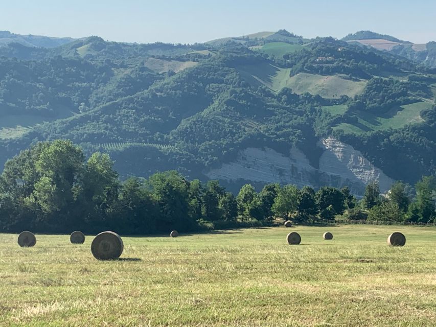 Farm Stay Experience & Dozza - Private Day Tour From Bologna