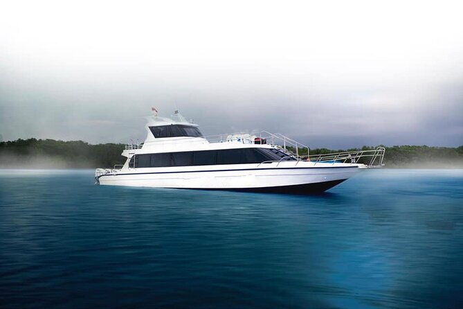 Fast Boat Transfer Sanur to Nusa Penida by Penidago - Service Overview