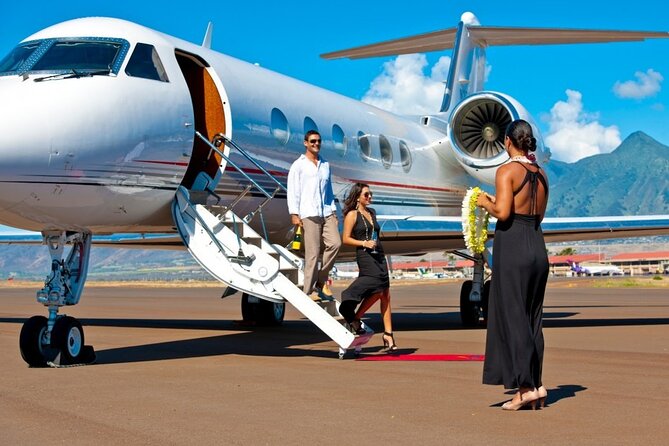 Fast Track On Arrival at St Lucia Airport & Round Trip Transfer
