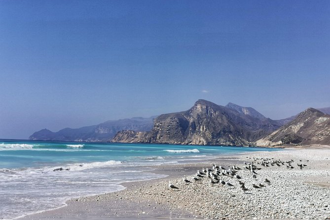Fazayah Beach ( Private Tour) - Meeting and Pickup