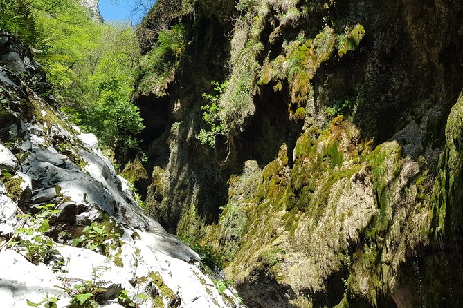 Ferriere Waterfalls Walk - Amalfi and Ravello Coast - Overview of the Activity