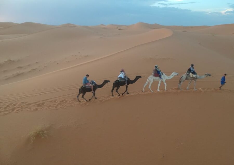 Fes Desert Tour 3 Days