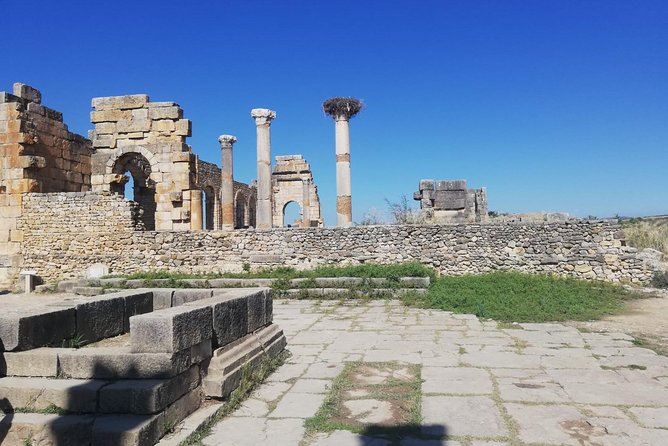 Fes to Volubilis, Moulay Idriss and Meknes Private Day Trip