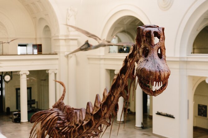 Field Museum of Natural History Early Access Ticket