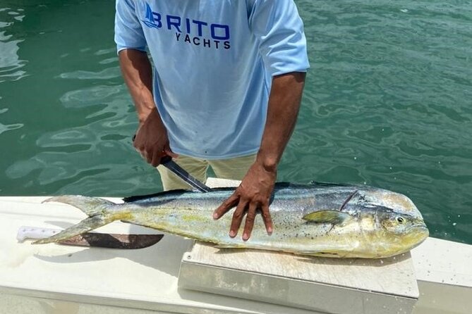 Fishing And Eating Straight From The Sea ( SAONA ISLAND AND PALMILLA)