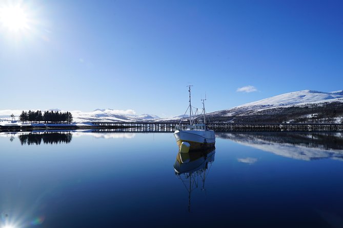 Fjord Cruise in a Luxury Yacht Arctic Queen