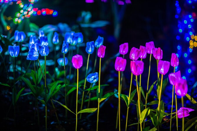 Flamingo Gardens Garden of Lights