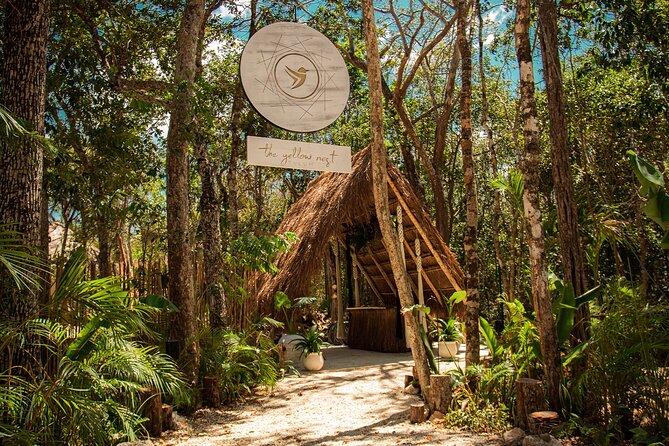 Floating Breakfast in the Yellow Nest (Near Dos Ojos Cenote) - Overview of the Experience