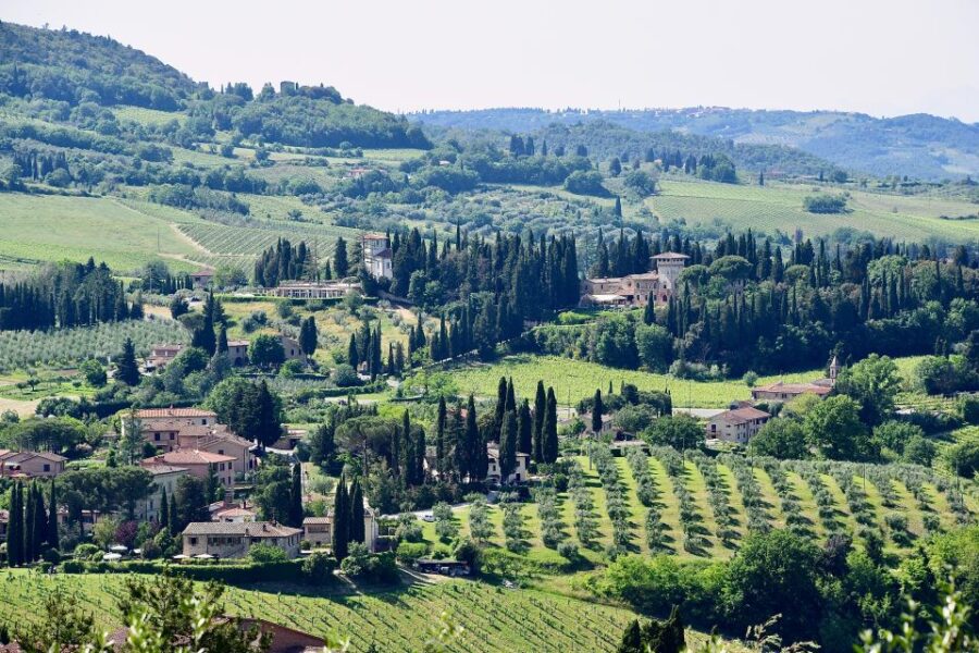 Florence: Local Hiking Tour With Wine and Lunch - Tour Overview and Pricing