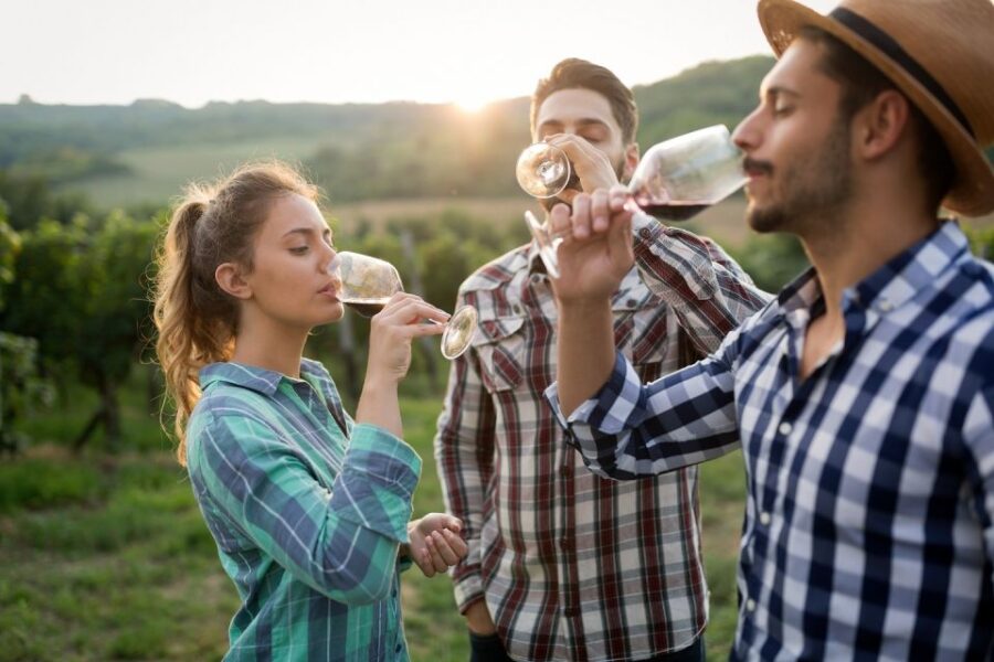 Florence: Private Full Day Tour to Chianti Wine Region - Tour Overview