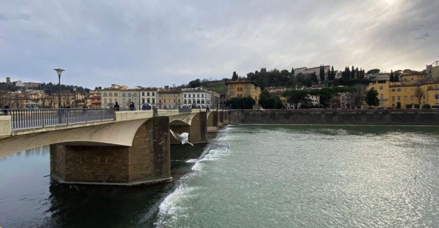 Florence Rooftop & Pisa Shore Excursion From Livorno - Tour Overview and Pricing