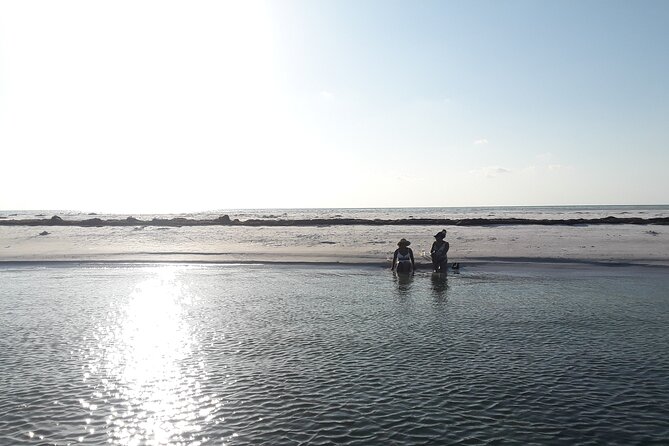 Floridas Beautiful Beaches and Waterways Private Tour