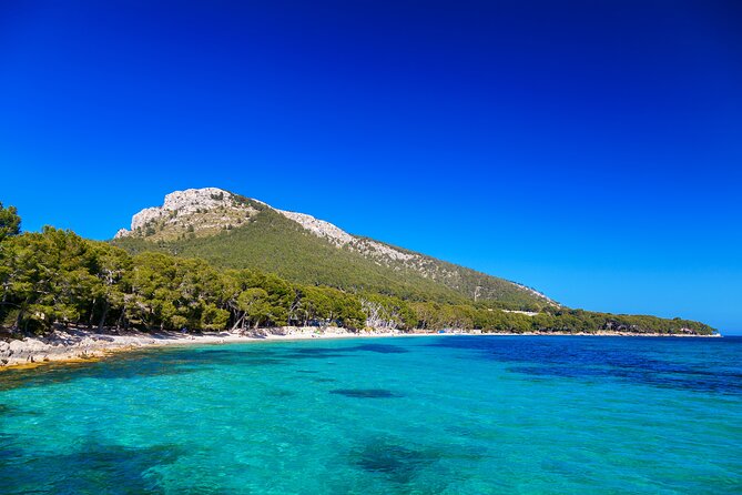 Formentor With Boat Trip + Local Market - Tour Overview