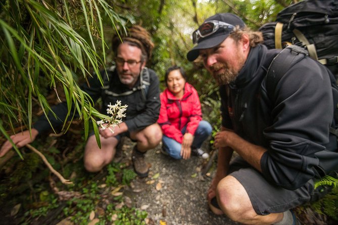 Franz Josef Nature Tour