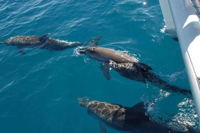 2 Best Sailing Experiences In Hervey Bay