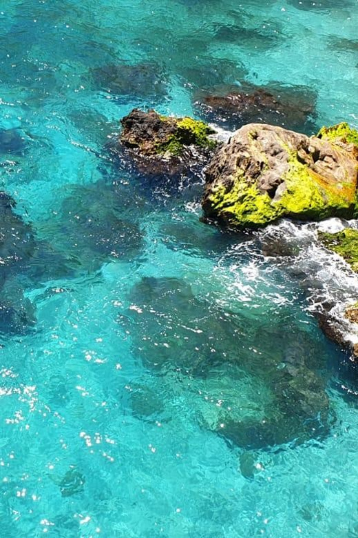 Free Route in Paddle Surfing by the Nerja and Maro Waterfall 🌊 - Activity Overview