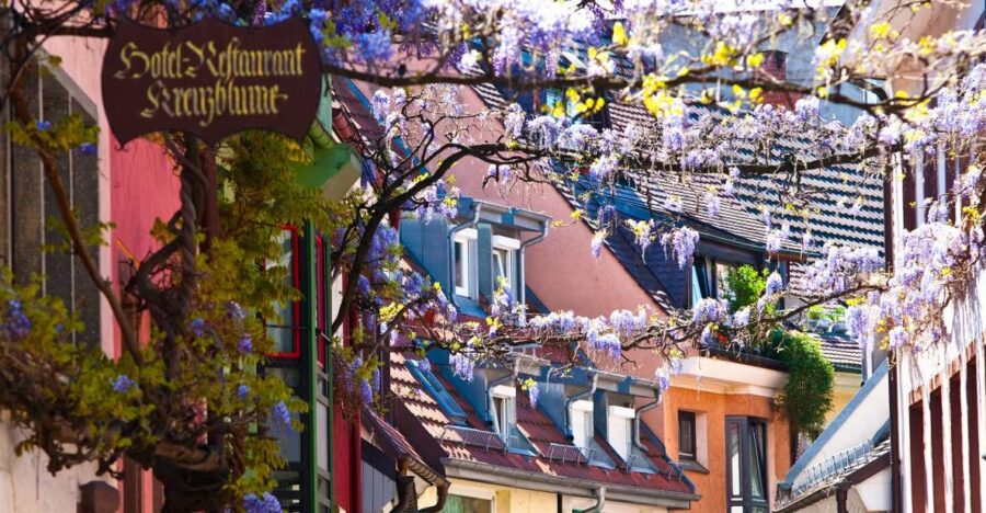 Freiburg: Gässle, Bächle and More City Tour