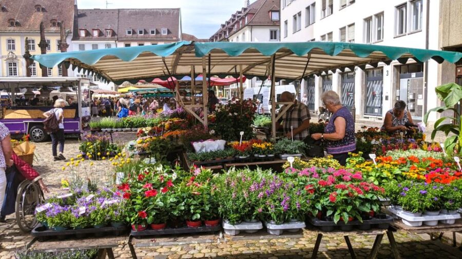 Freiburg: Old Town Highlights Self-guided Tour