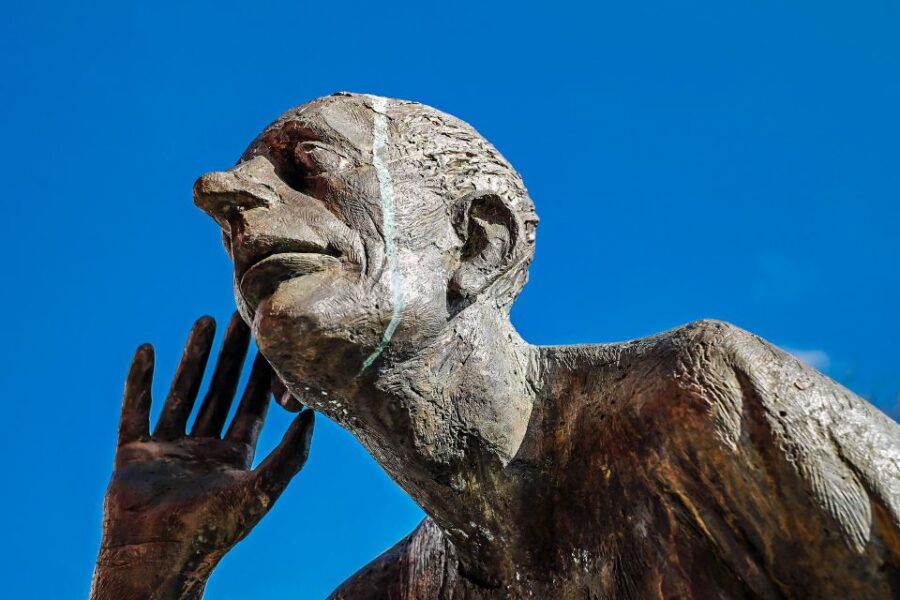 Freiburg’S Art and Culture Revealed by a Local