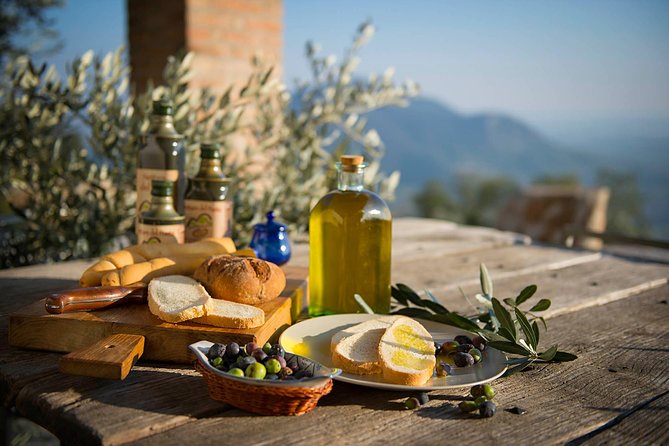 From Abano Montegrotto Olive Oil & Wine in the Euganean Hills - Company Overview