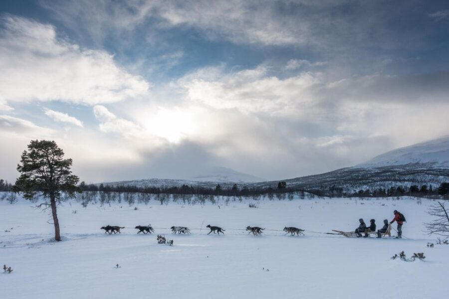 3 Best Tours In Abisko