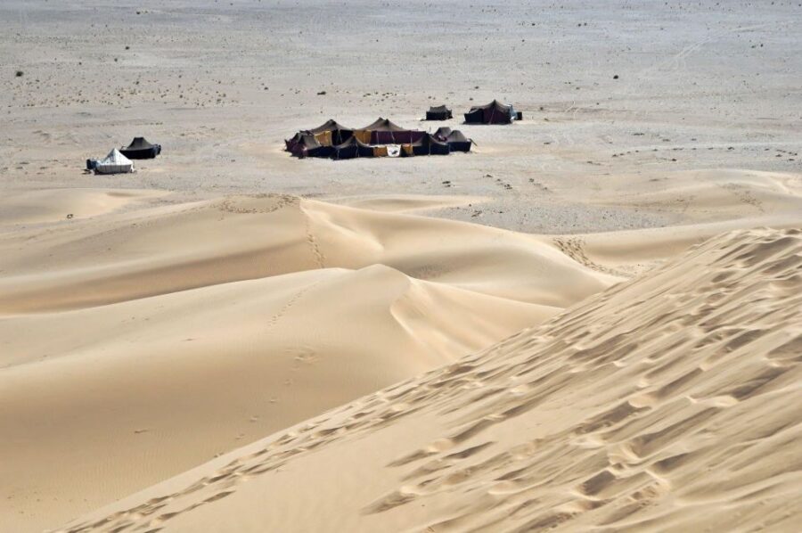 From Agadir or Taghazout: 2-Day Sahara Desert Tour to Zagora - Tour Overview and Pricing