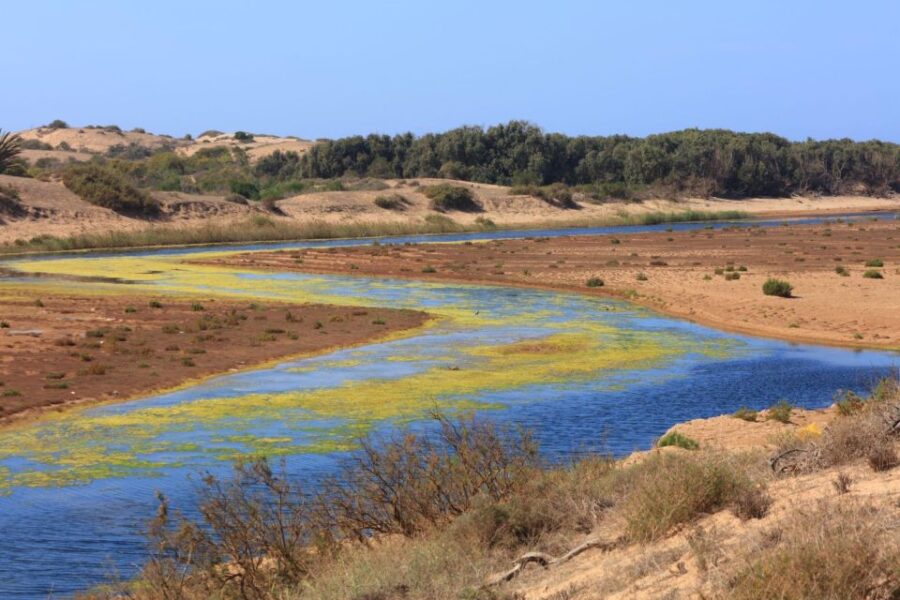 From Agadir: Sous Massa National Park Desert Safari W/Lunch