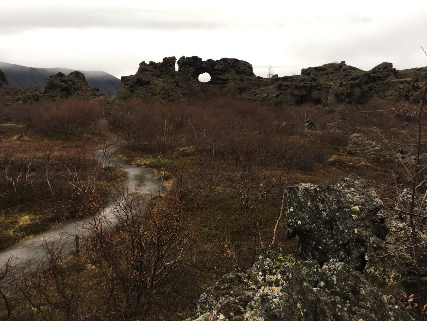 9 Best Cruises And Boat Tours In Akureyri
