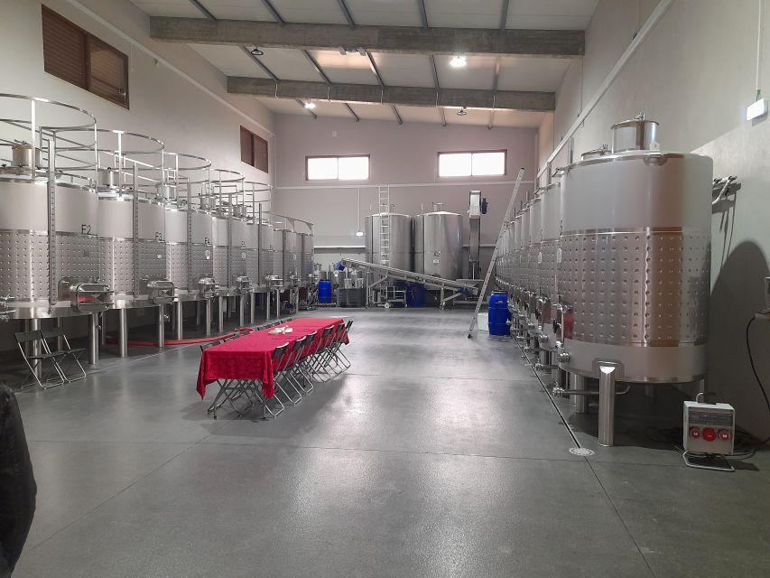 From Albufeira: Private Lagos Tour Whith Wine Tasting - Tour Overview